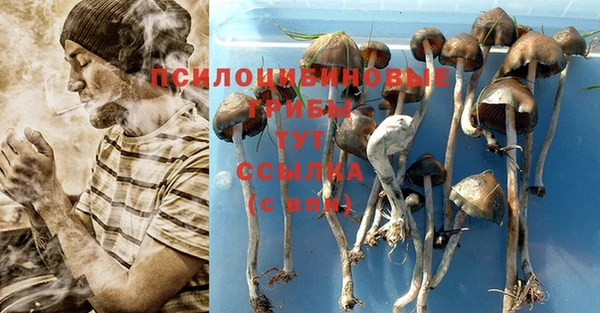 apvp Алексеевка