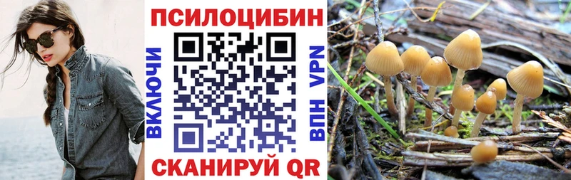 купить наркотики сайты  Николаевск  Псилоцибиновые грибы Psilocybine cubensis 