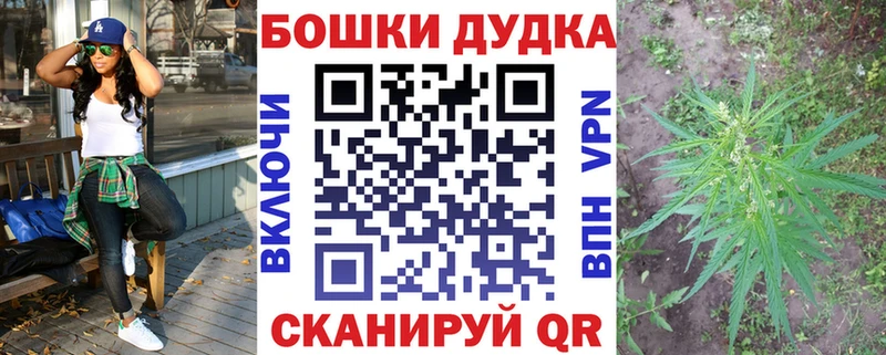 Бошки Шишки план  Николаевск 